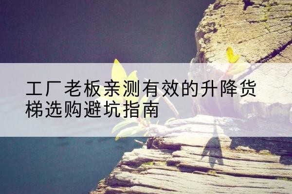 邳州升降货梯怎么选-工厂老板亲测有效的升降货梯选购避坑指南