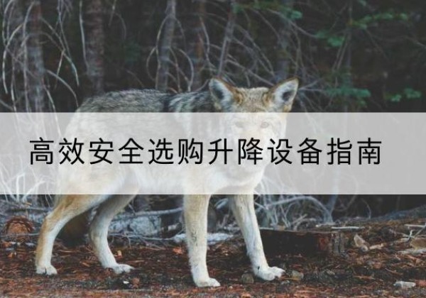 邳州升降货梯厂家推荐-*安全选购升降设备指南
