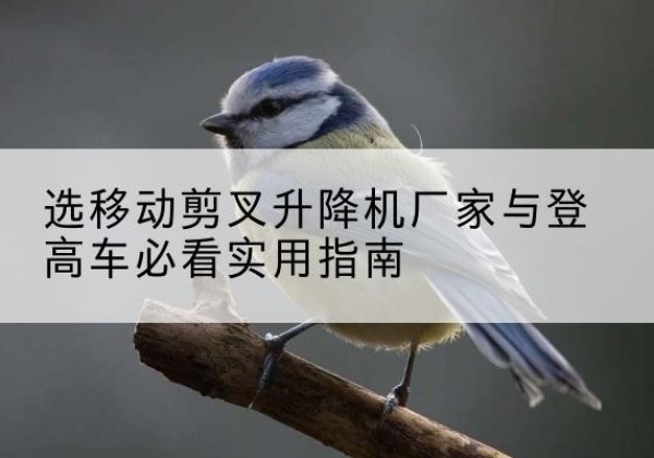 邳州电动升降机厂家-选移动剪叉升降机厂家与登高车必看实用指南