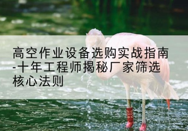邳州剪叉式升降机厂家-高空作业设备选购实战指南-十年工程师揭秘厂家筛选核心法则