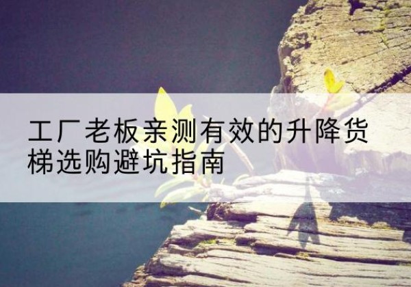 邳州升降货梯怎么选-工厂老板亲测有效的升降货梯选购避坑指南